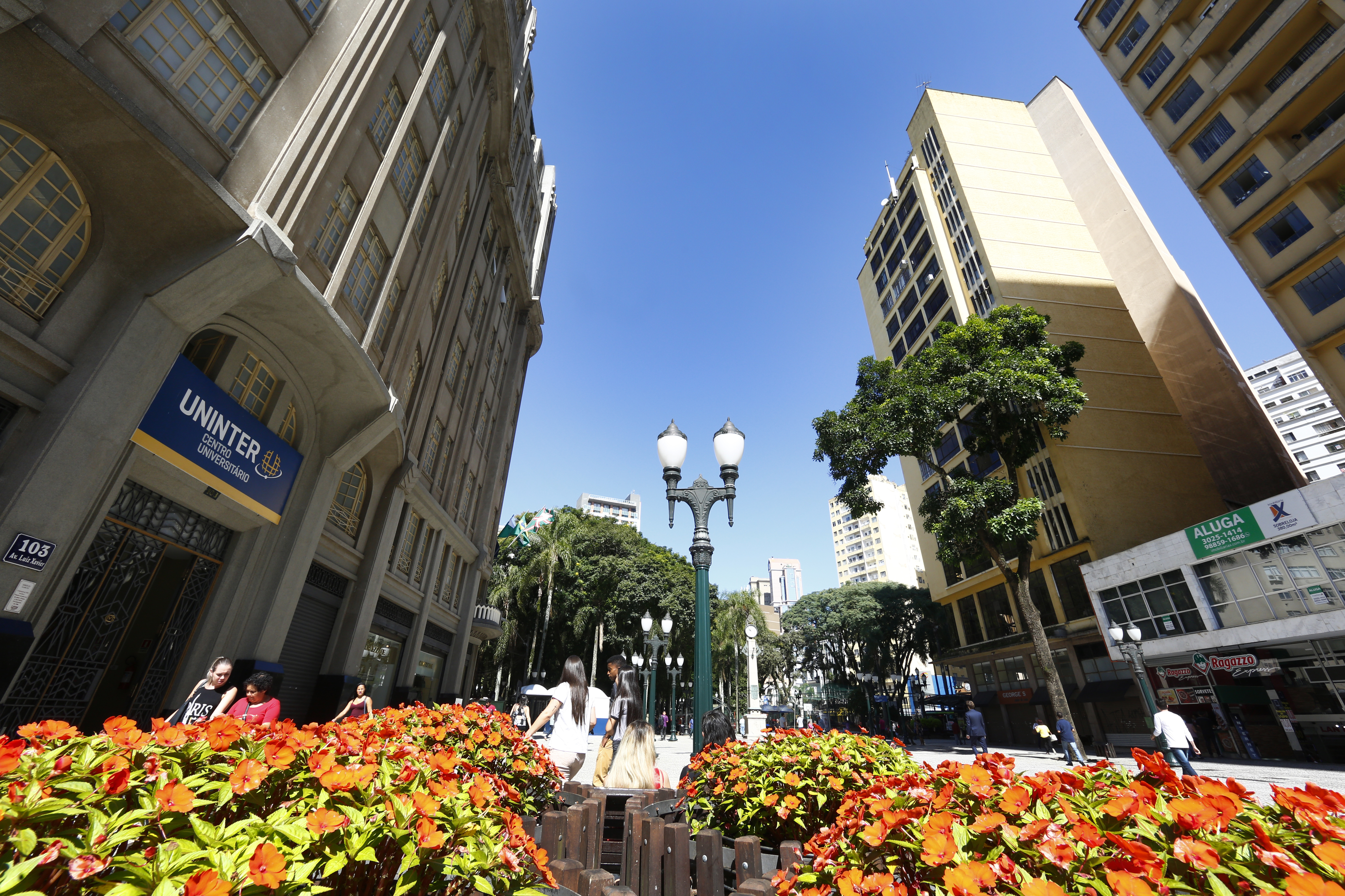 | Aniele Nascimento/Gazeta do Povo