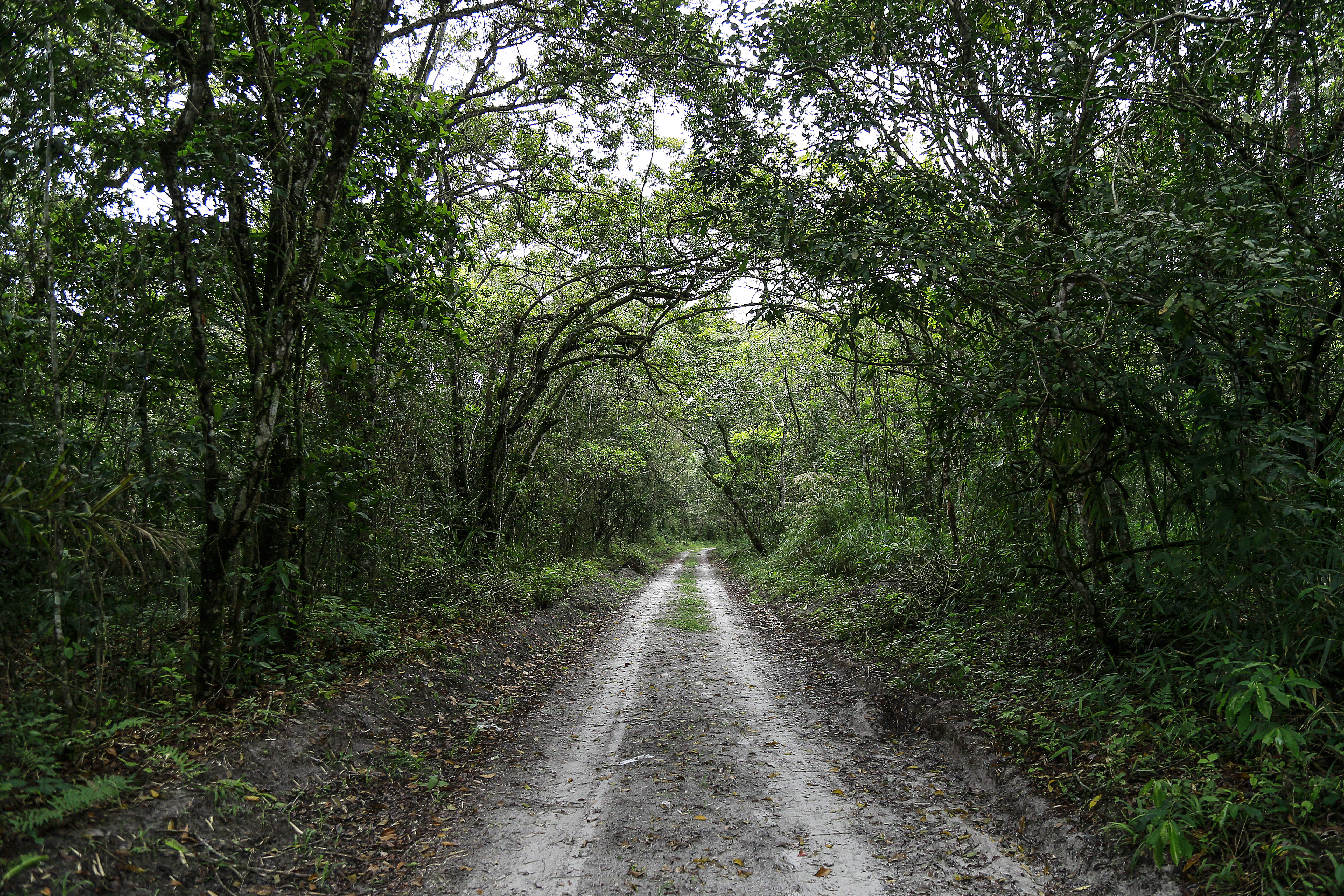 | Jonathan Campos/Gazeta do Povo