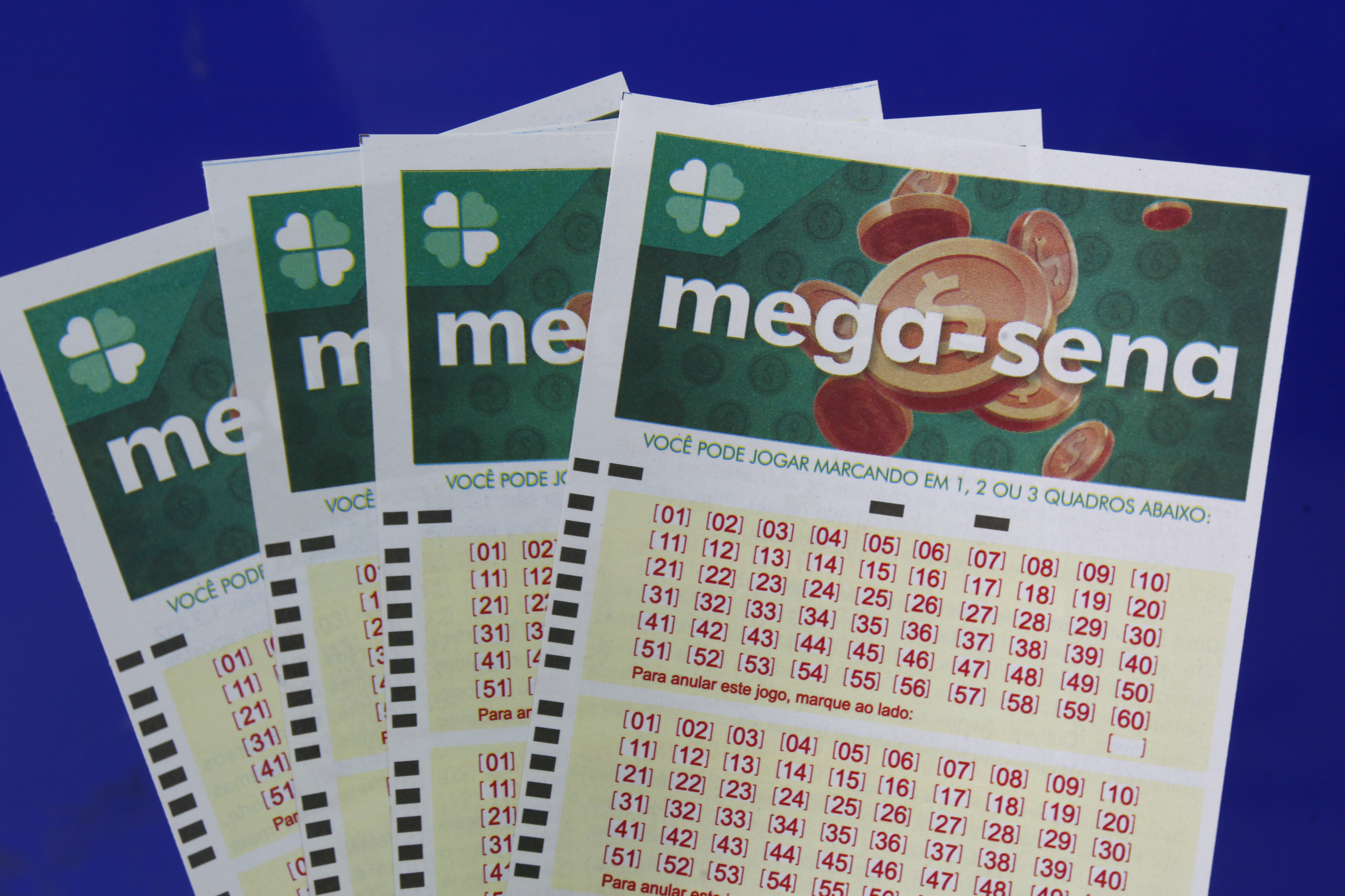  | Aniele Nascimento/Gazeta do Povo