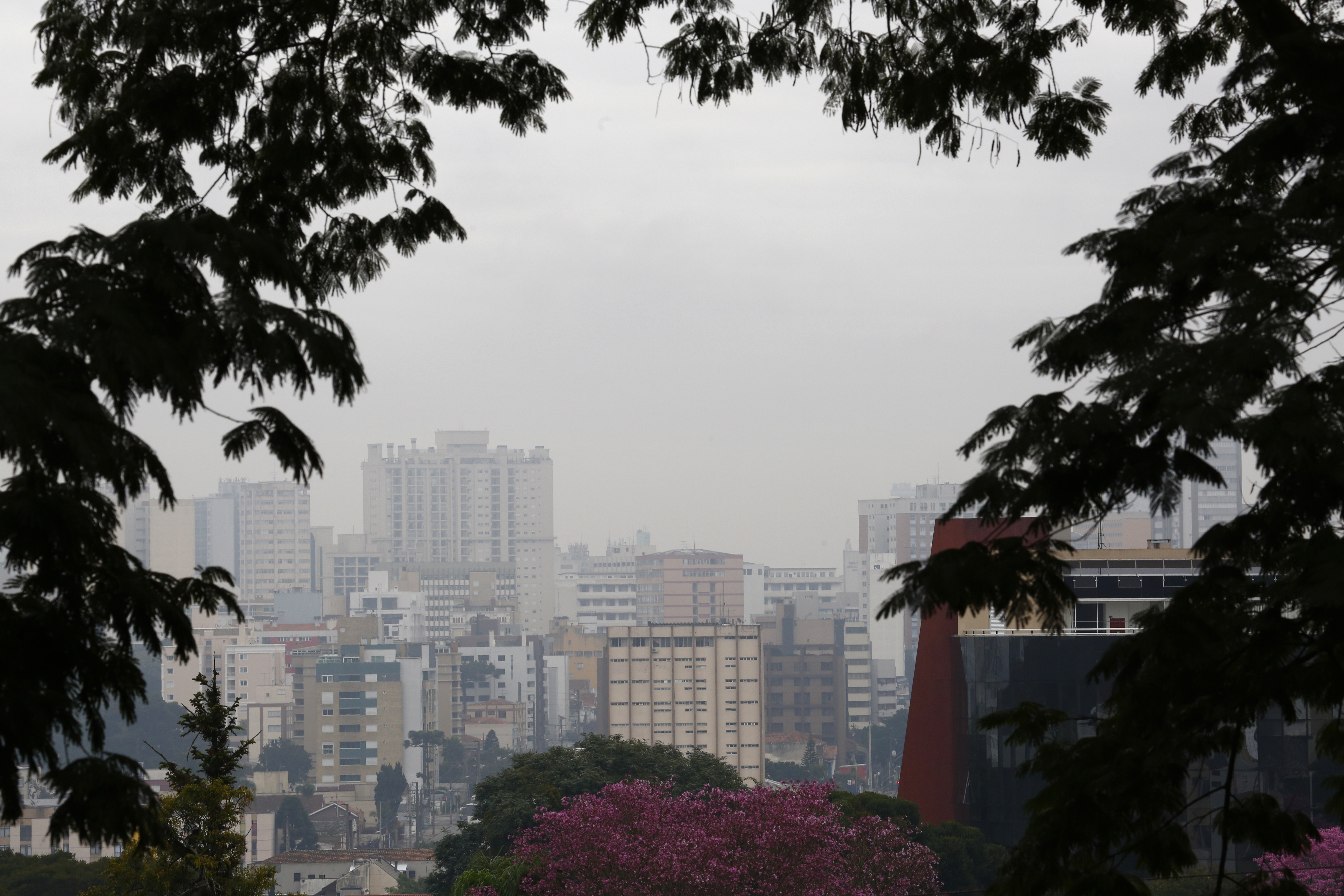 | Aniele Nascimento/Gazeta do Povo