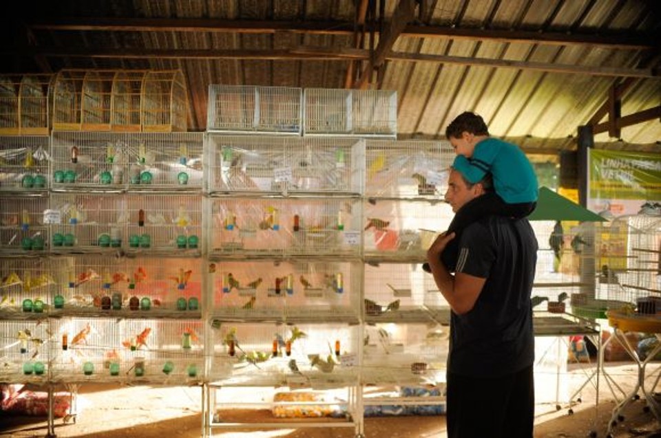 A Feira de Pequenos Animais foi idealizada para agradar o público que não tem contato ou vínculo com o agronegócio. | Divulgação/ExpoLondrina