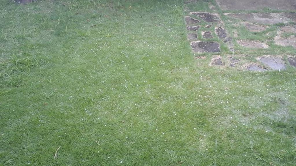 | Eliane Westphal Nunes/Colaboração