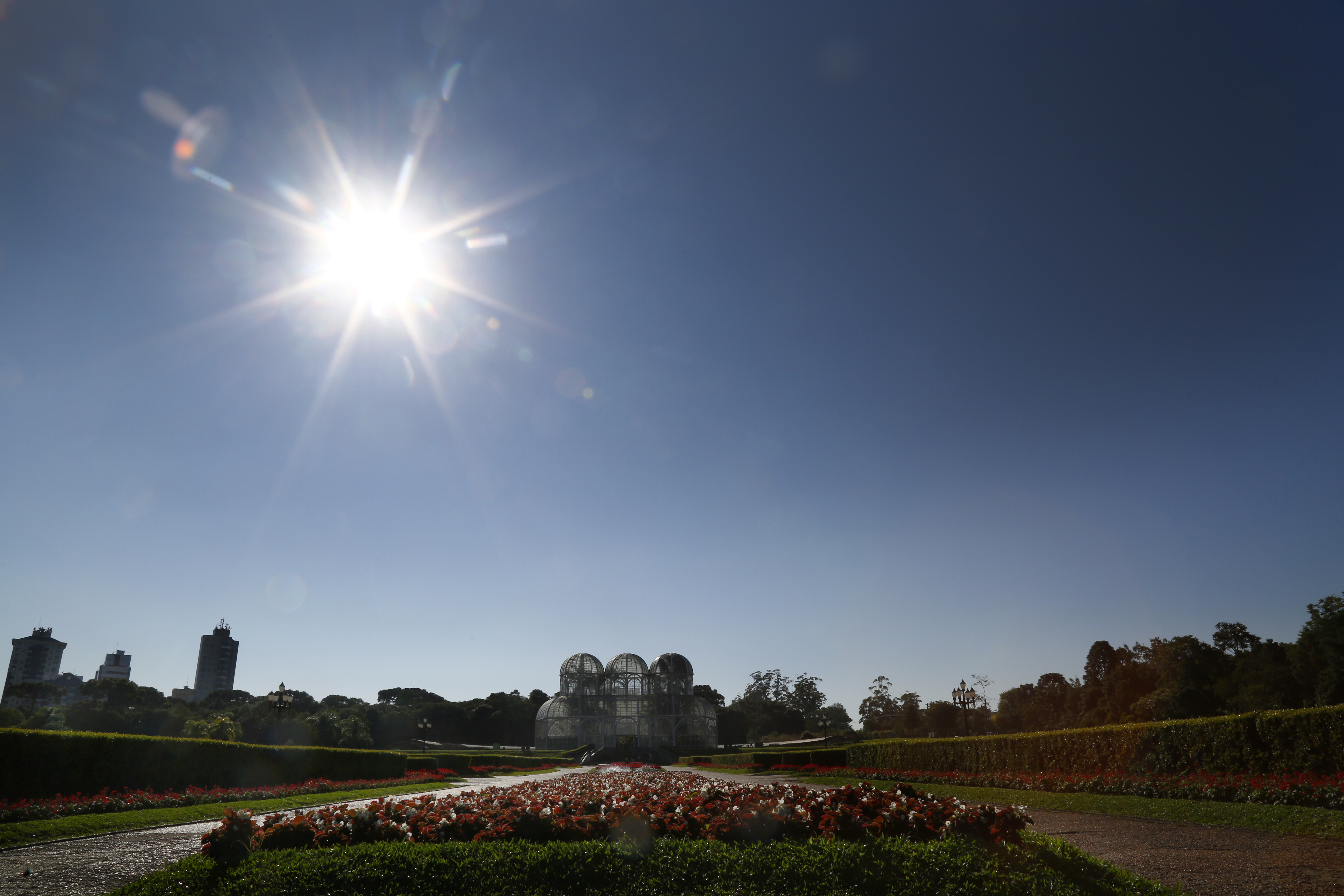 | Aniele Nascimento/Gazeta do Povo