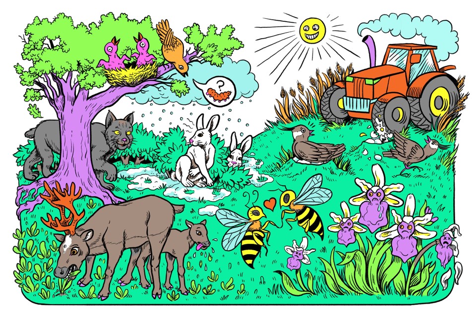 Chave para sobrevivência está na capacidade das espécies para se adaptar rapidamente às mudanças climáticas | Lauren Kolesinskas/NYT