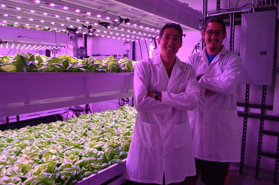 Estudantes da Universidade do Arizona trabalham no Centro de Agricultura em Ambiente Controlado. | Austin Smith/Divulgação USDA