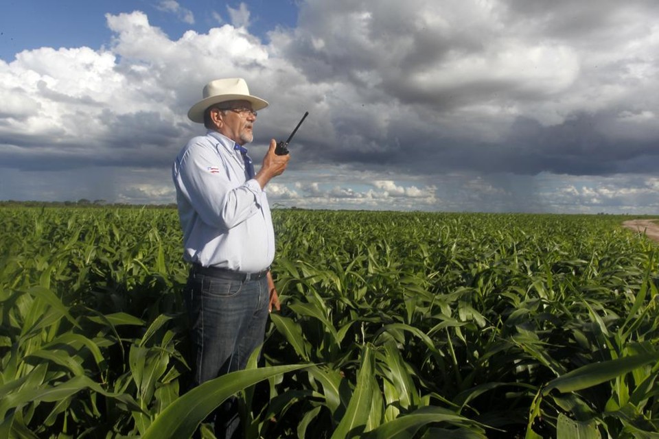 Cícero Teixeira comanda as operações da Fazenda Santo Ângelo, no município de Luis Eduardo Magalhães | Daniel Caron/Gazeta do Povo