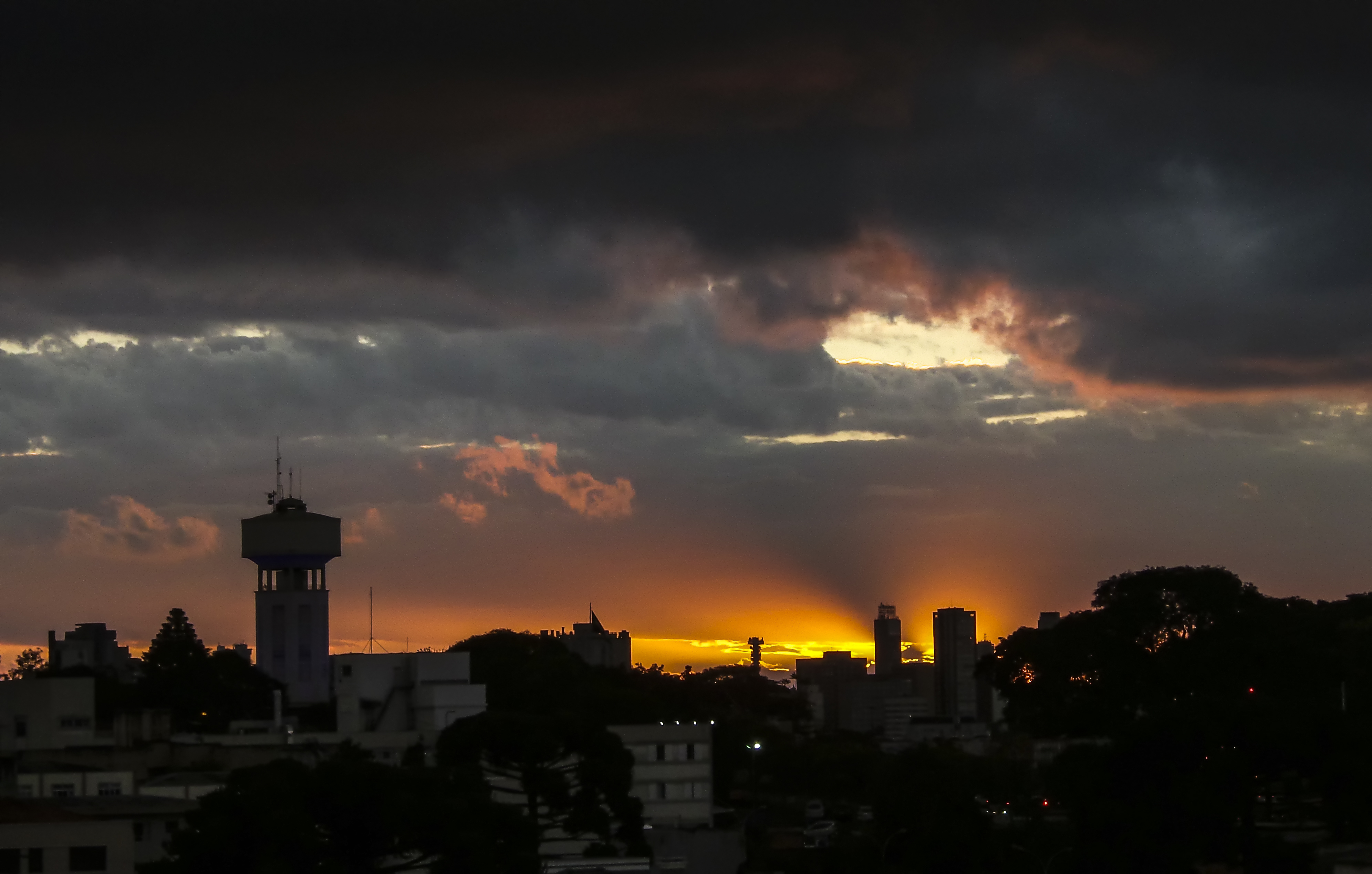 | Maicon J. Gomes/Gazeta do Povo