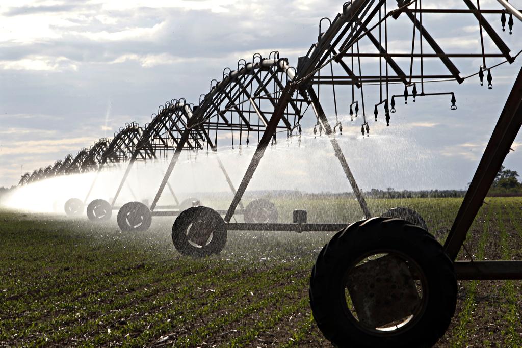  | Daniel Caron/Gazeta do Povo
