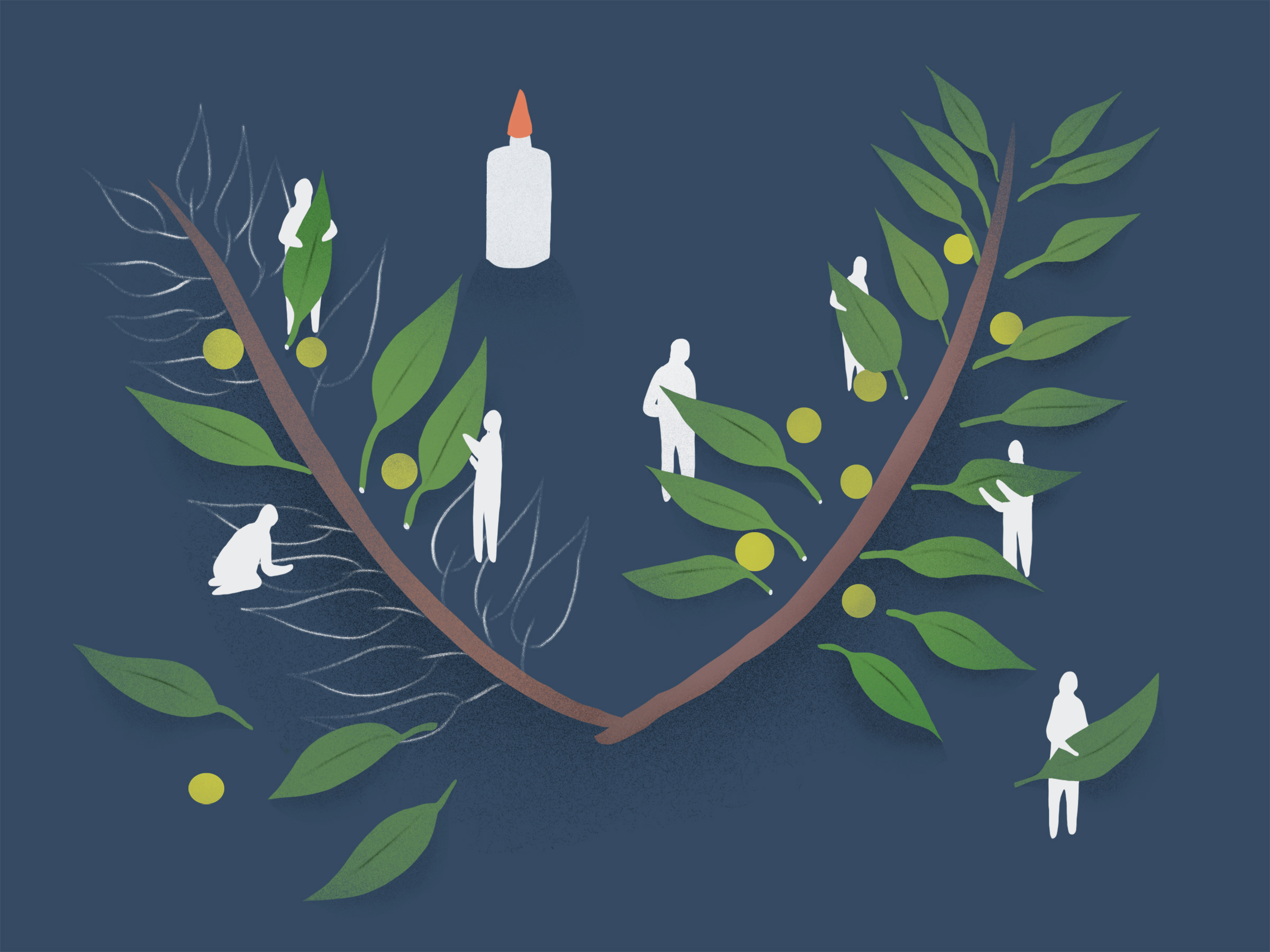 | Nicole Xu for The New York Times