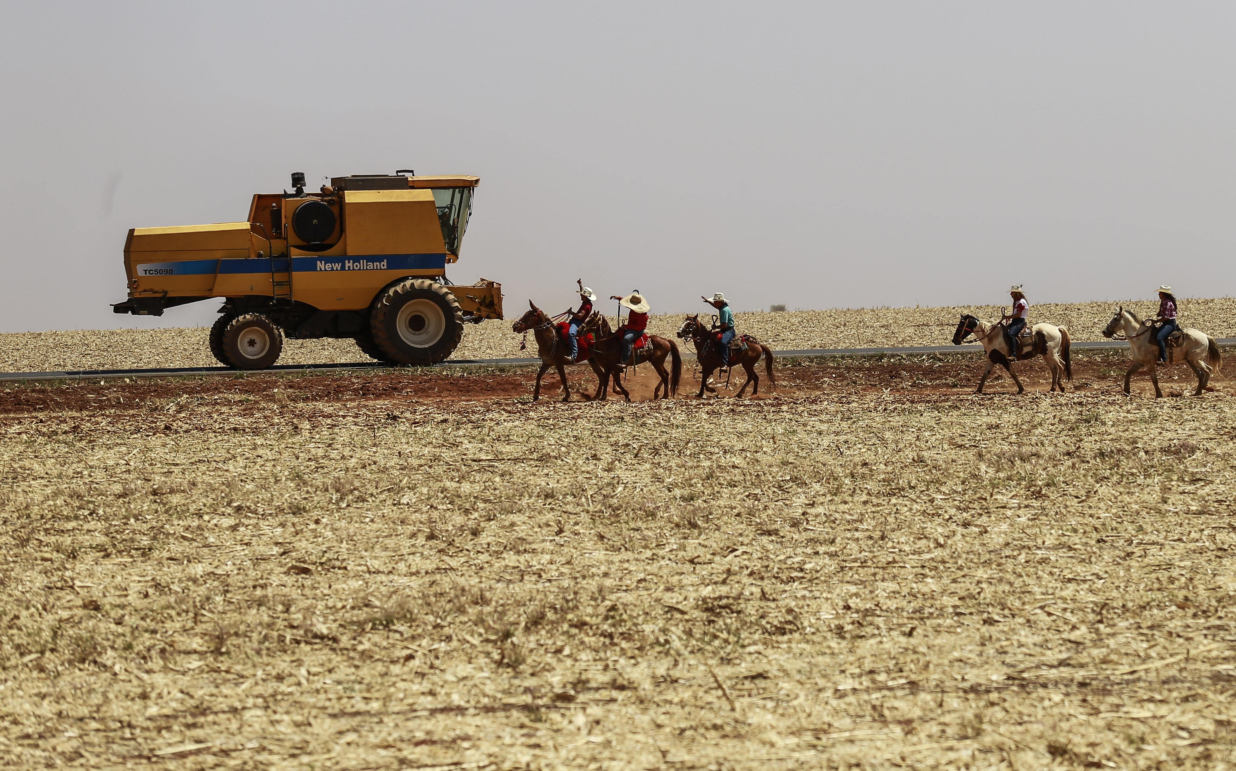 Rede social se propõe a ser fórum para profissionais e interessados em aprofundar temas do agronegócio. | Jonathan Campos/Gazeta do Povo