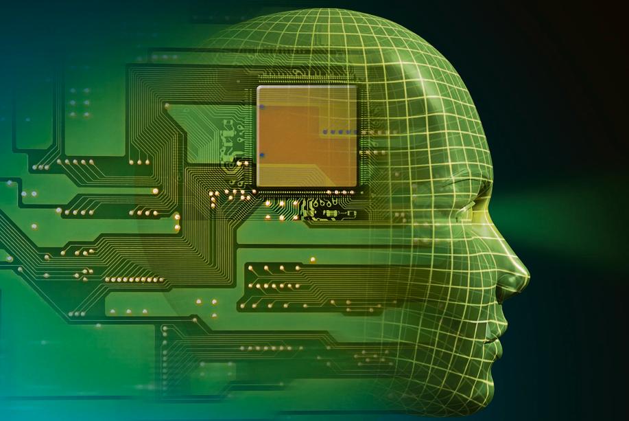 “Precisamos dar às crianças a informação certa para que se tornem pessoas críticas, independentes”, diz pesquisadora. |