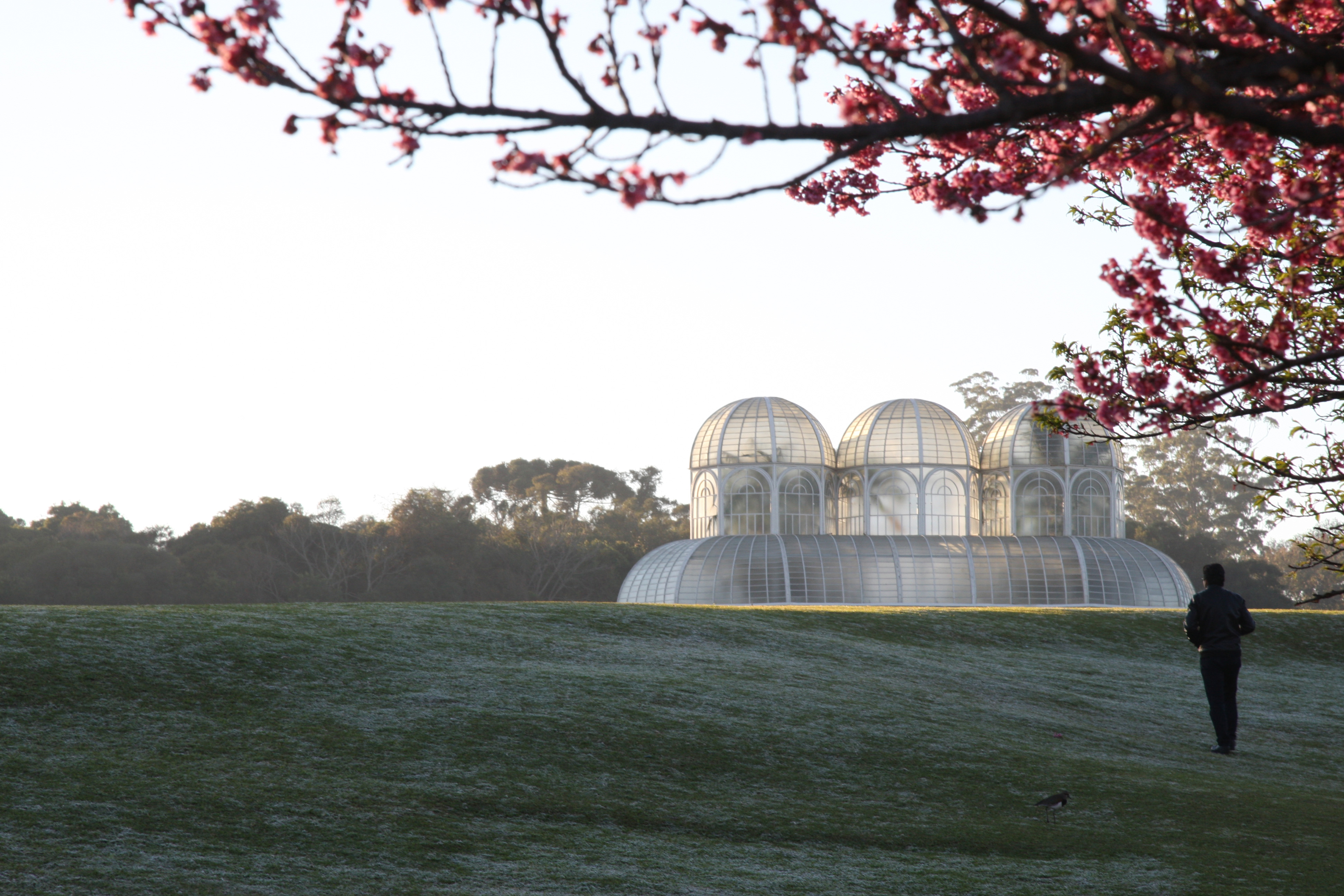 Geada não deve demorar a chegar em Curitiba | Aniele Nascimento/Gazeta do Povo