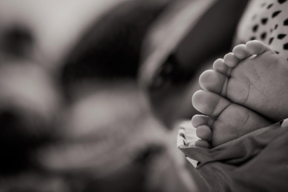 | Reprodução/Janko Ferlic/Unsplash