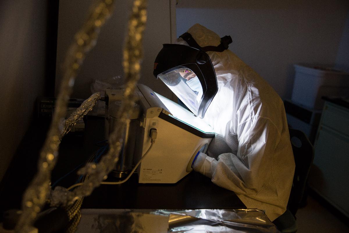 O DNA recuperado de um pequeno pedaço de osso pode revelar aos cientistas muitas coisas sobre as migrações humanas ao longo de milhares de anos | KAYANA SZYMCZAK/NYT