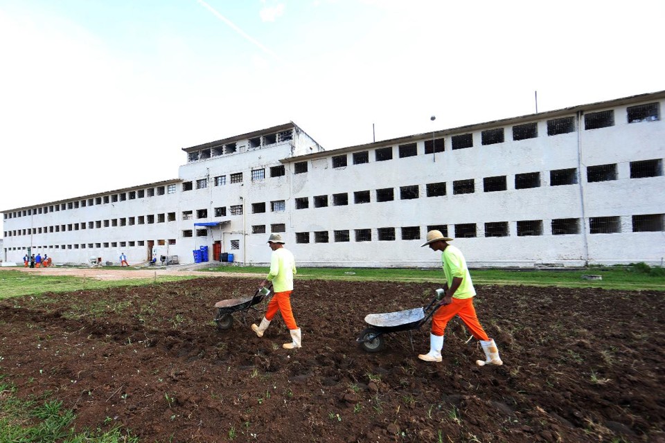 Presos cuidam da hora da Unidade de Progressão do Complexo Penitenciário de Piraquara, na Região Metropolitana de Curitiba (RMC). | Albari Rosa/Gazeta do Povo