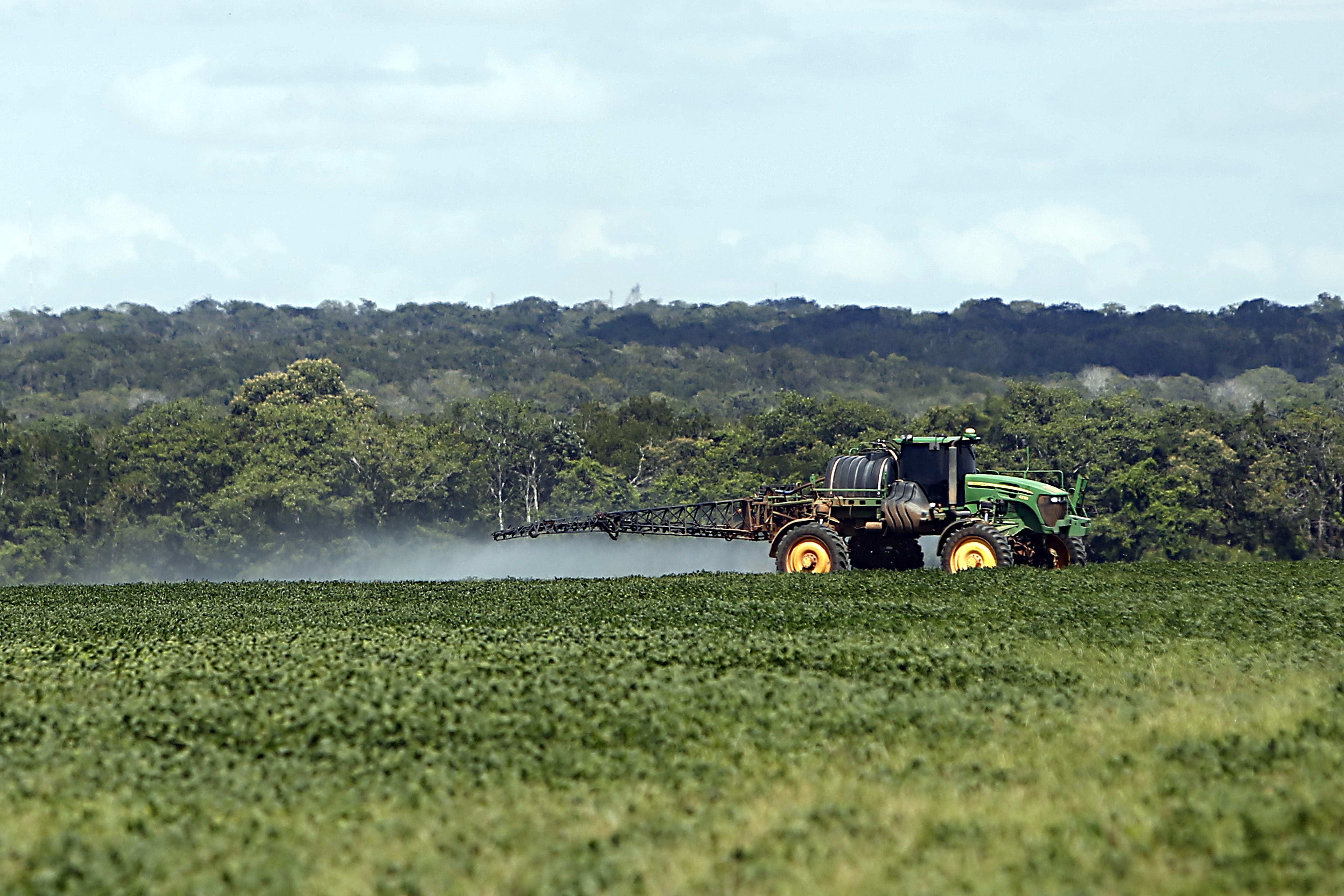 | Albari Rosa/Gazeta do Povo