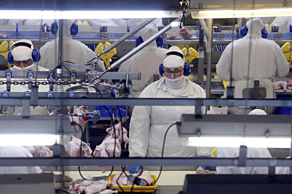 Medida obrigará frigoríficos a buscar novos mercados e ajustar linha de produção | Albari Rosa/Gazeta do Povo