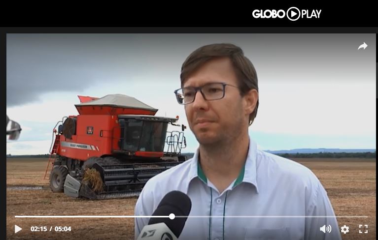 Produtor Joel Hendges foi um dos produtores que confirmaram safra recorde no sul do Maranhão | Reprodução/