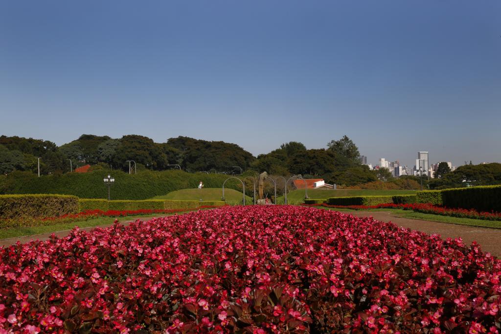 | Aniele Nascimento/Gazeta do Povo