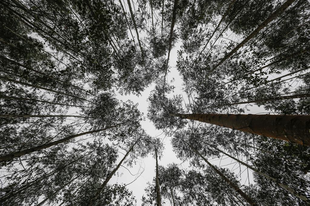 | Jonathan Campos/Gazeta do Povo