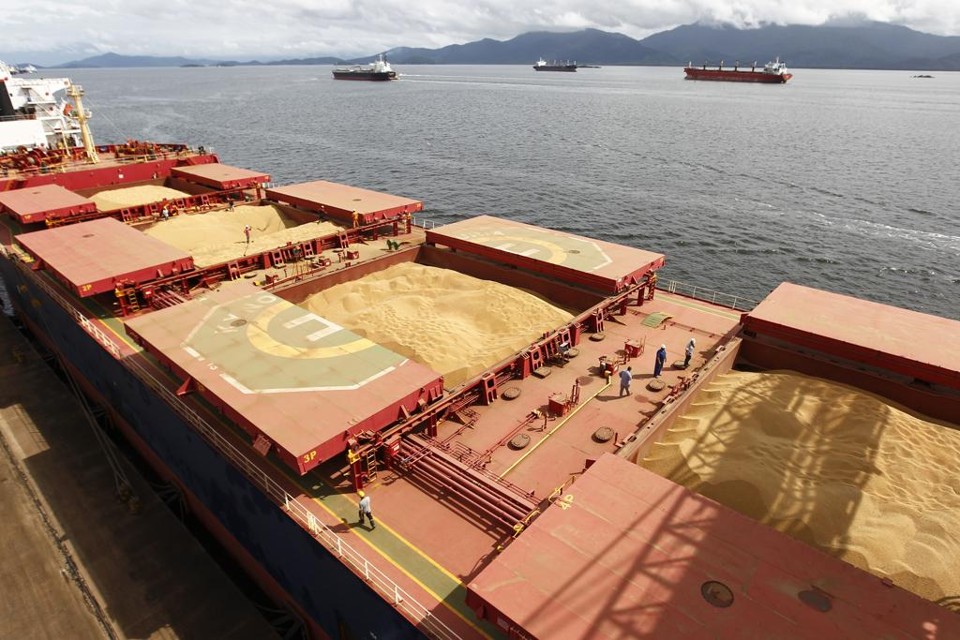 O preço da soja disponível no Porto de Paranaguá já passa (e com folga) dos R$ 80, oscilando entre R$ 85 e R$ 88 a saca de 60 kg. | Jonathan Campos/Gazeta do Povo