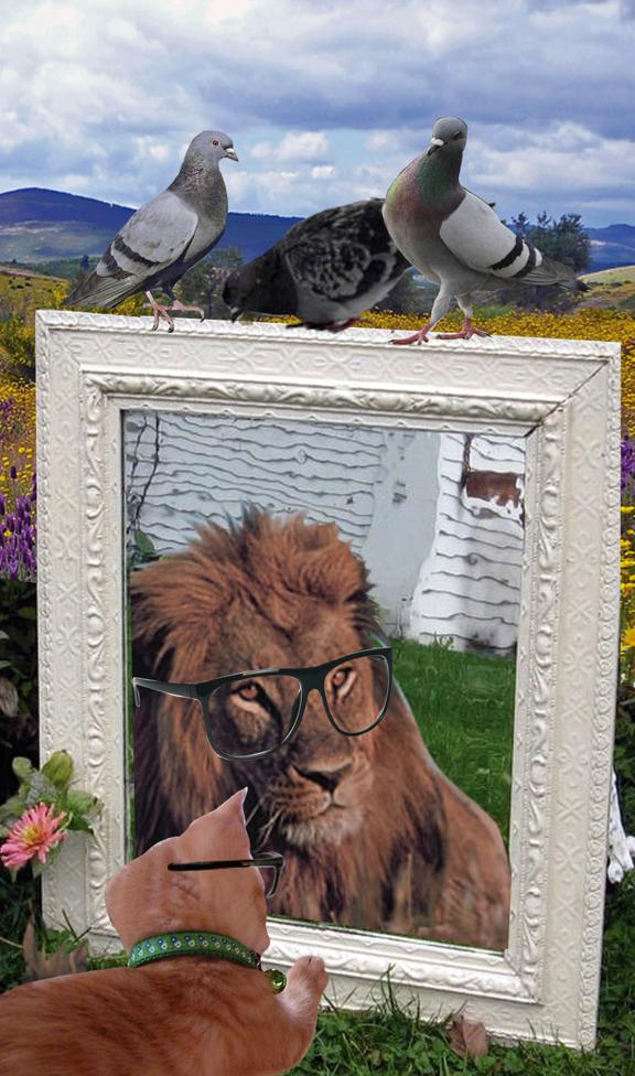  | Robson Vilalba/Thapcom