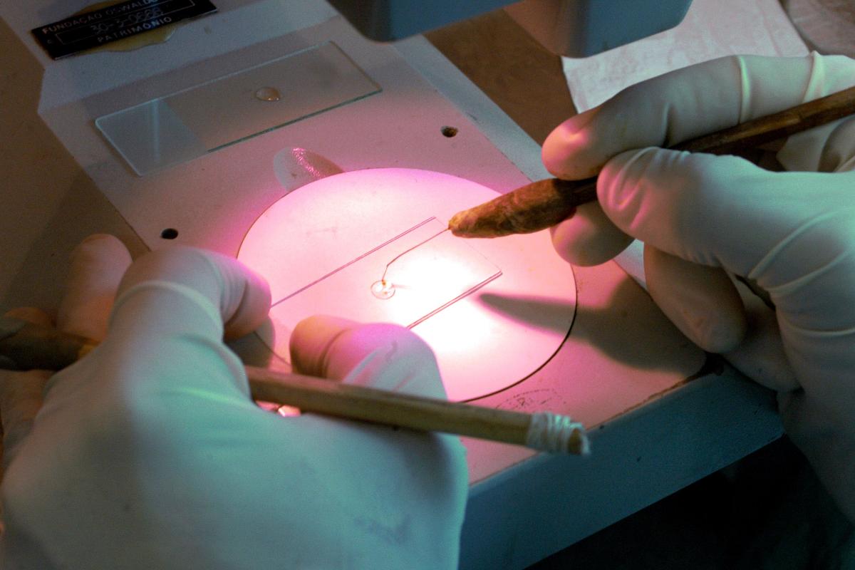 Reitores lembram que a pesquisa científica é um dos fatores de desenvolvimento de um país | Peter IliccievFiocruz Imagens