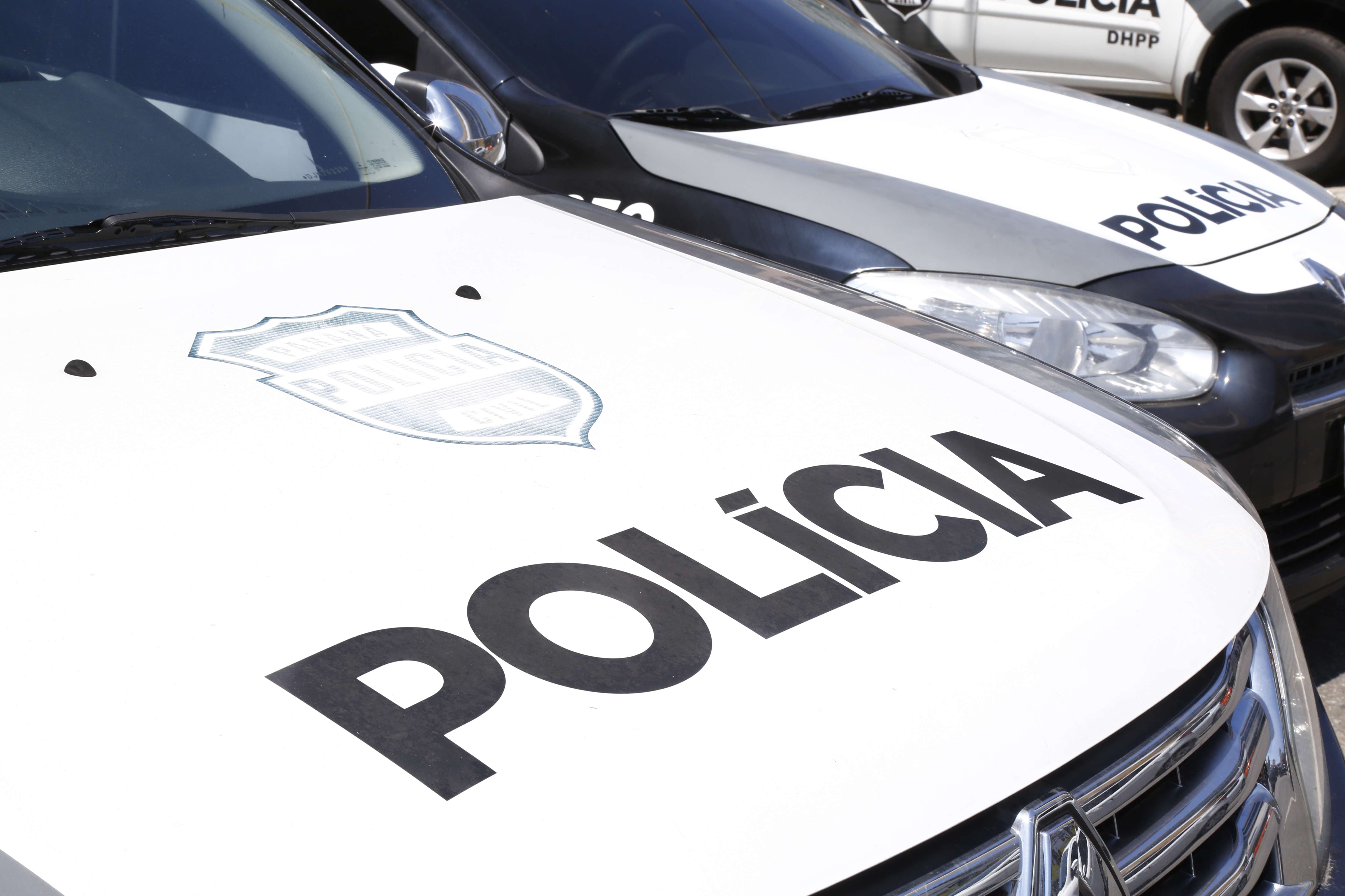 | Aniele Nascimento/Gazeta do Povo