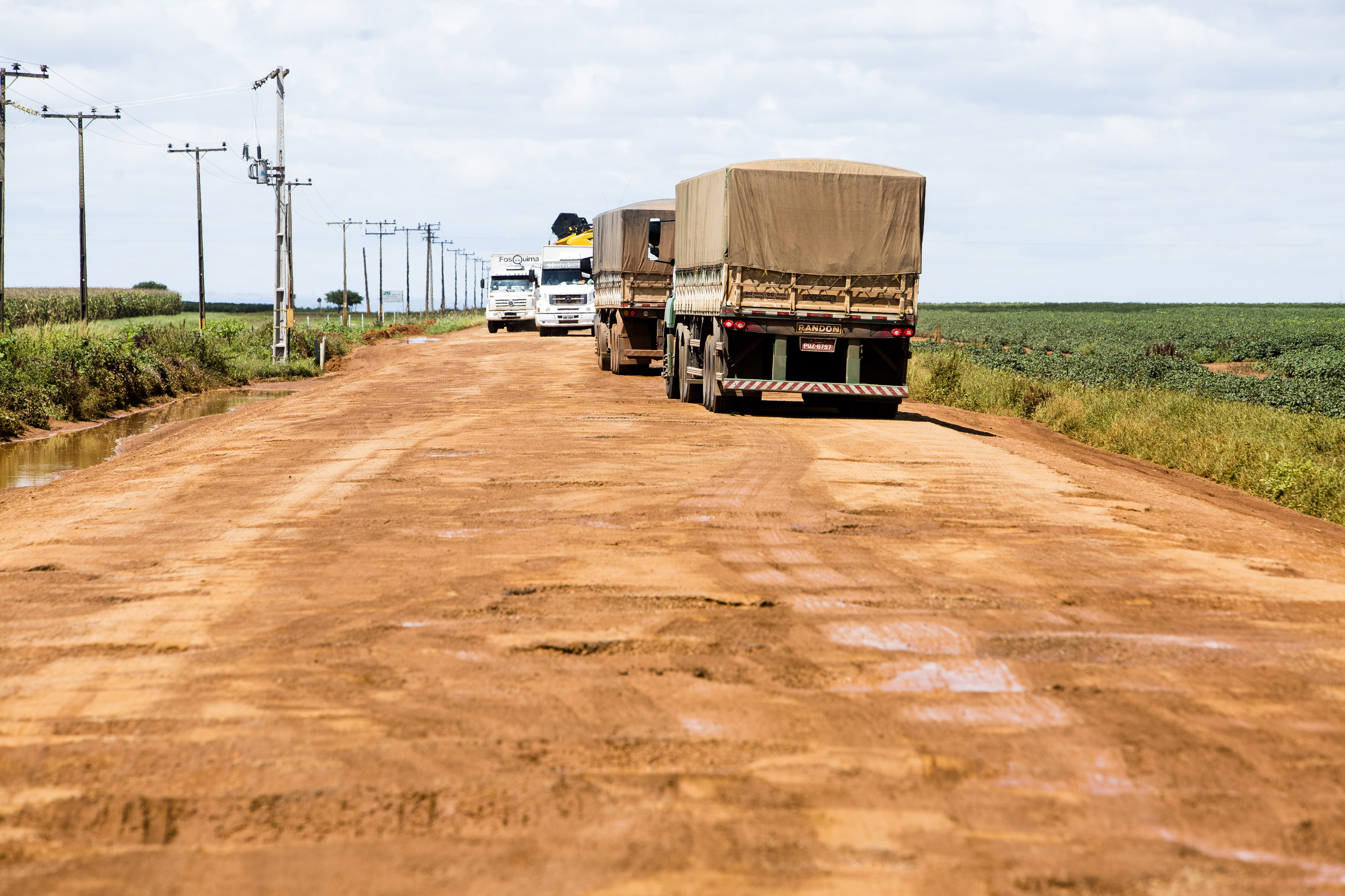 | Lineu Filho/Gazeta do Povo