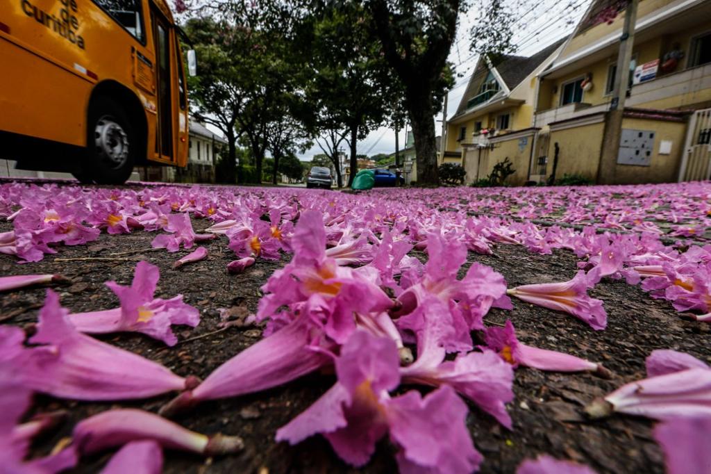 | Jonathan Campos/Gazeta do Povo