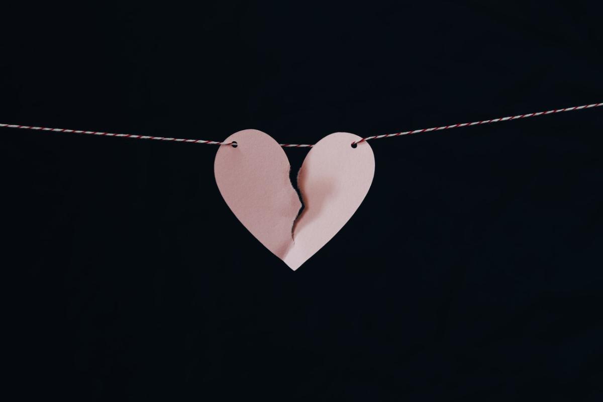 | Unsplah/
Reprodução