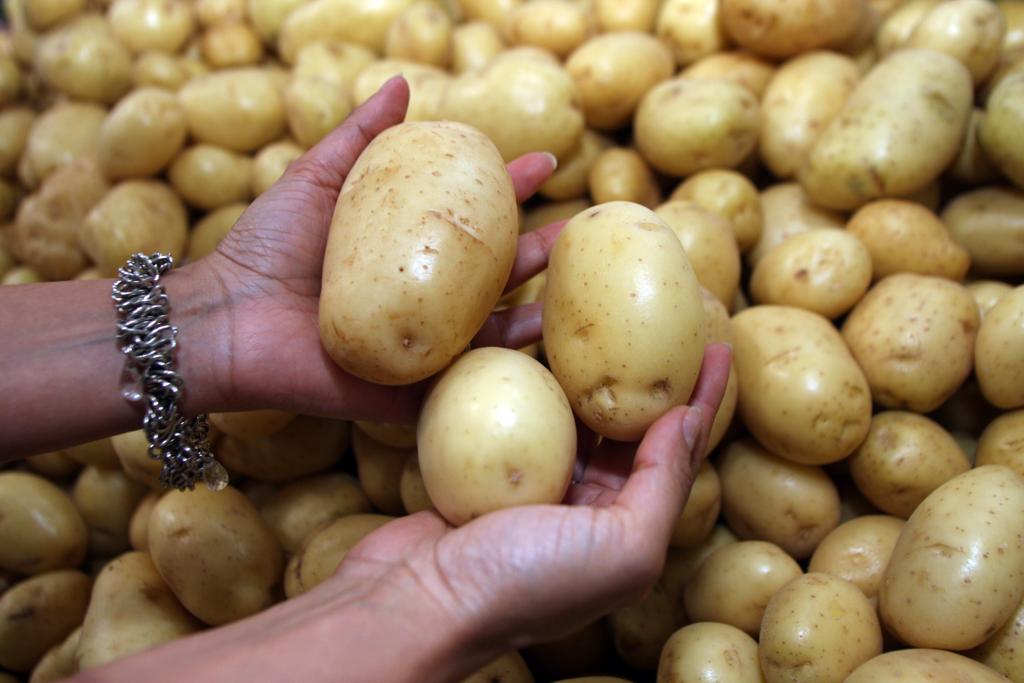 | Walter Alves /Agencia de Noticia/Walter Alves /Agencia de Noticia