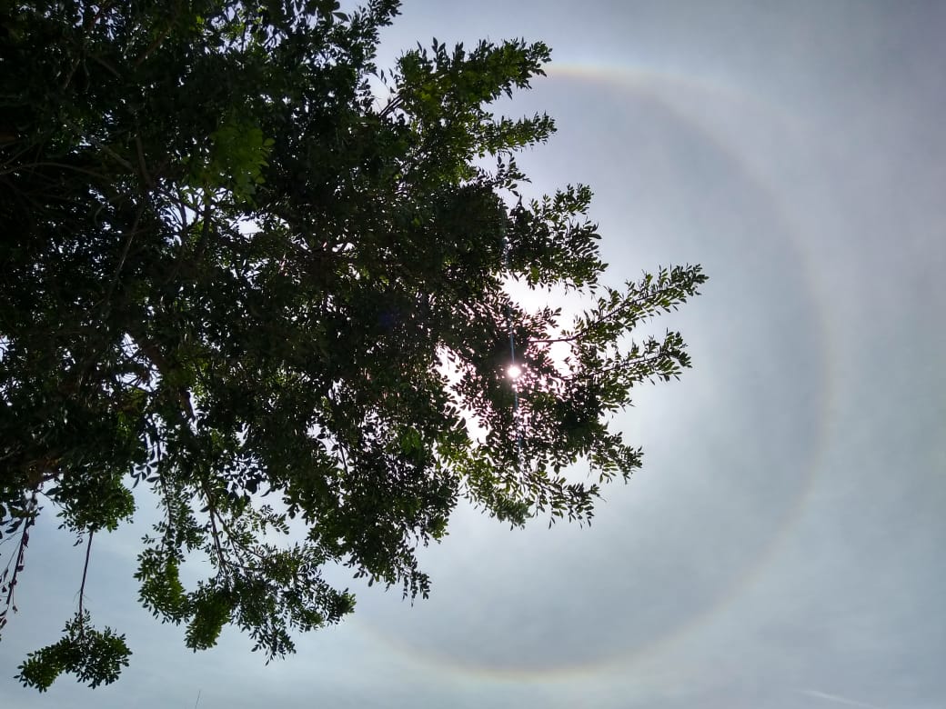 | Aniele Nascimento/Gazeta do Povo