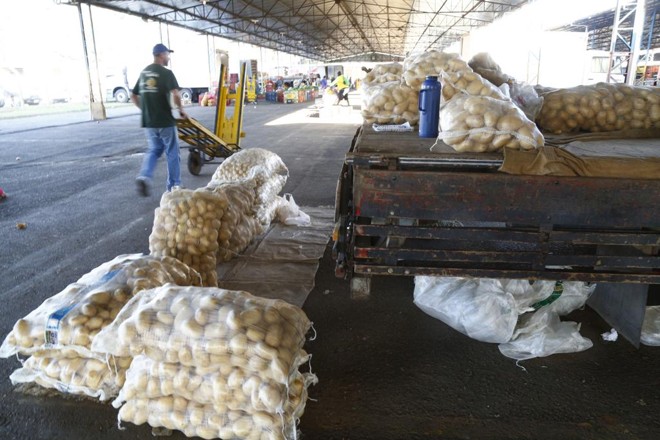 No Ceasa, vazio, preço do saco de batata passou de R$ 80, na segunda, para R$ 150 na quinta-feira | Aniele Nascimento/Gazeta do Povo