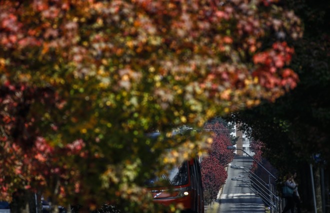  | Jonathan Campos/Gazeta do Povo