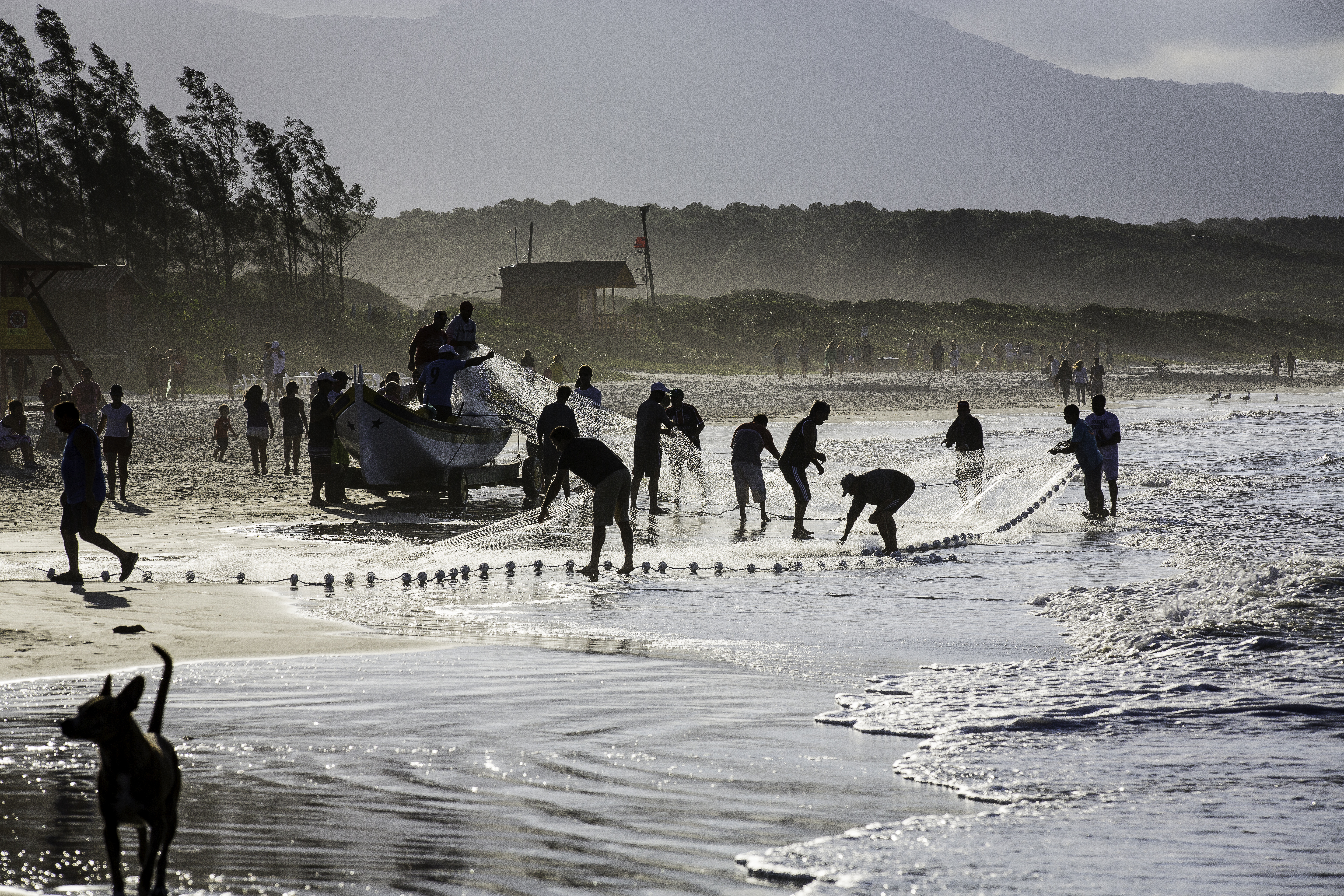 Pesca artesanal da tainha , conhecida como “arrasto de praia”, não está sujeita ao sistema de cotas | Bento Viana/Oceana