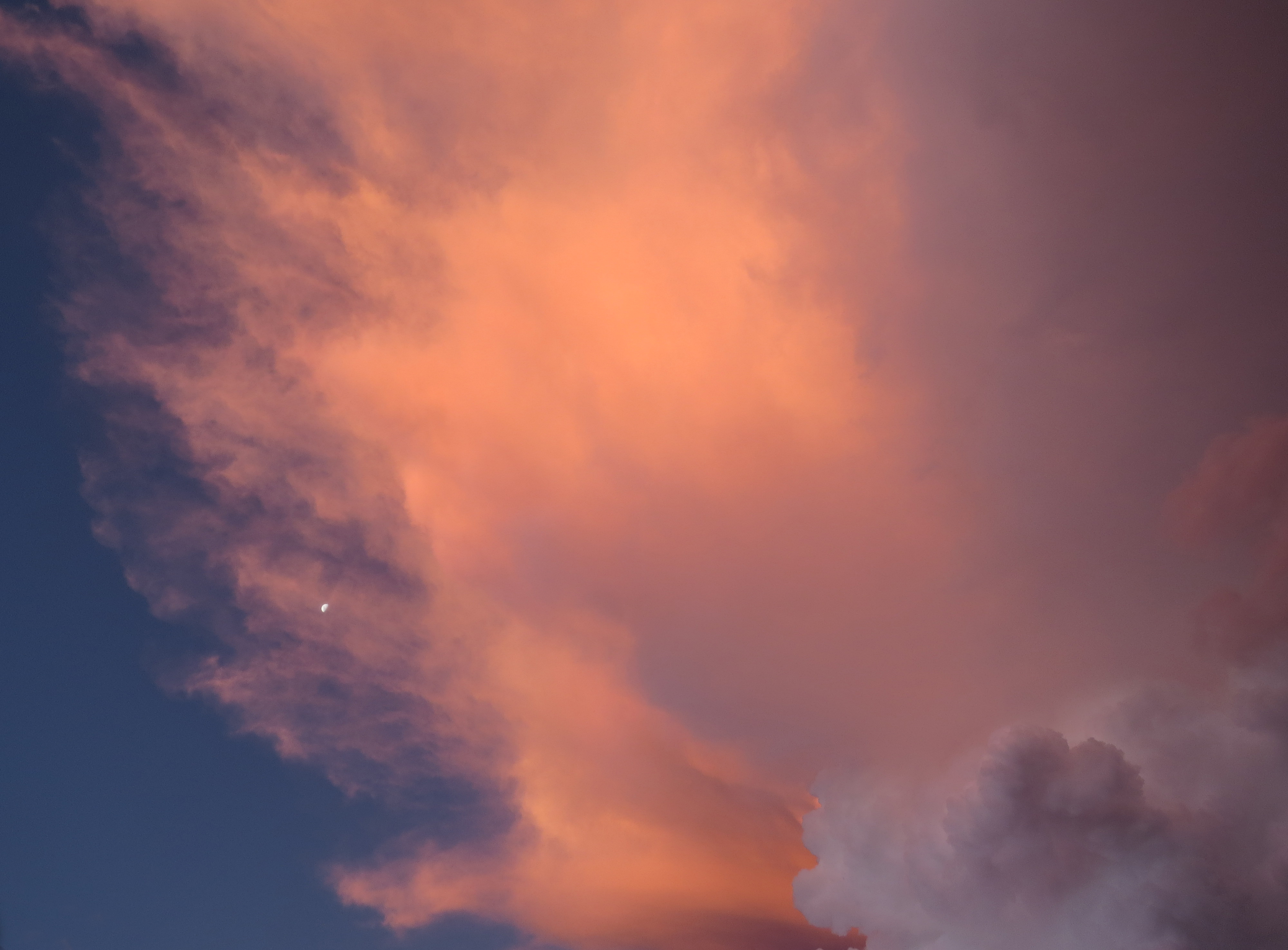 | Aniele Nascimento/Gazeta do Povo