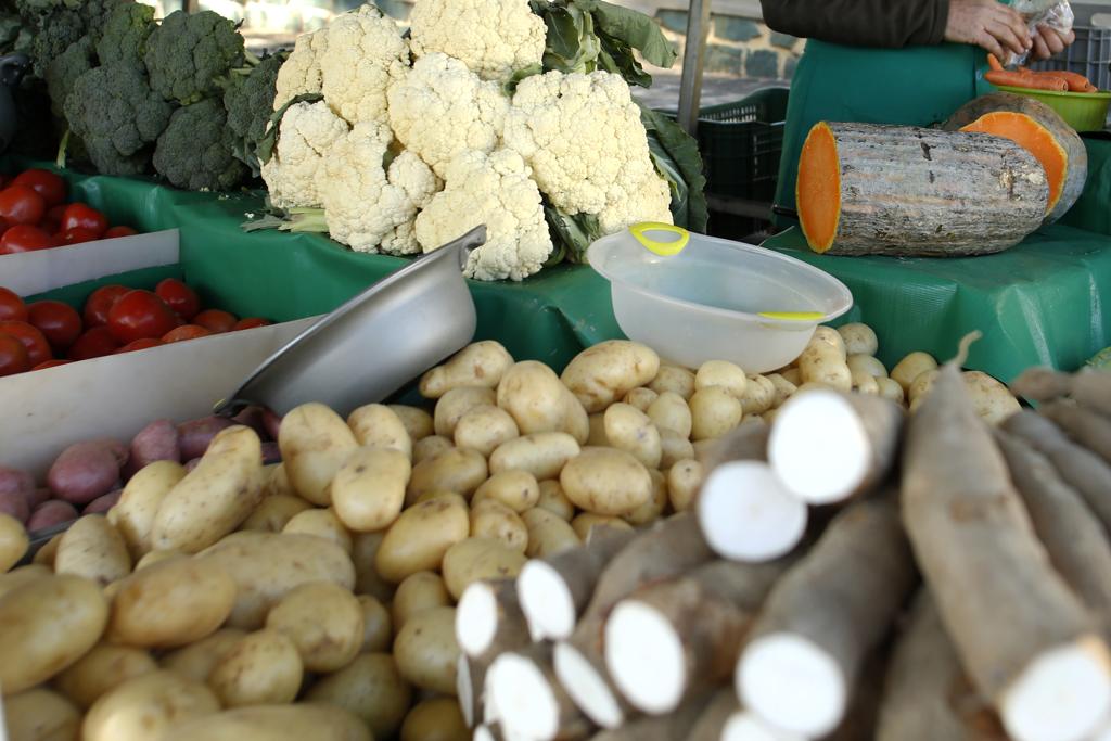 | Marcelo Andrade/Gazeta do Povo