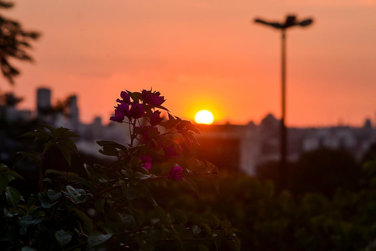 | Maicon J. Gomes
Gazeta do Povo