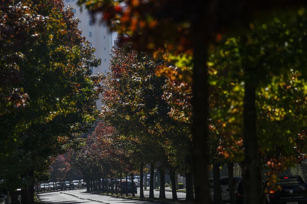 | Jonathan Campos/Gazeta do Povo