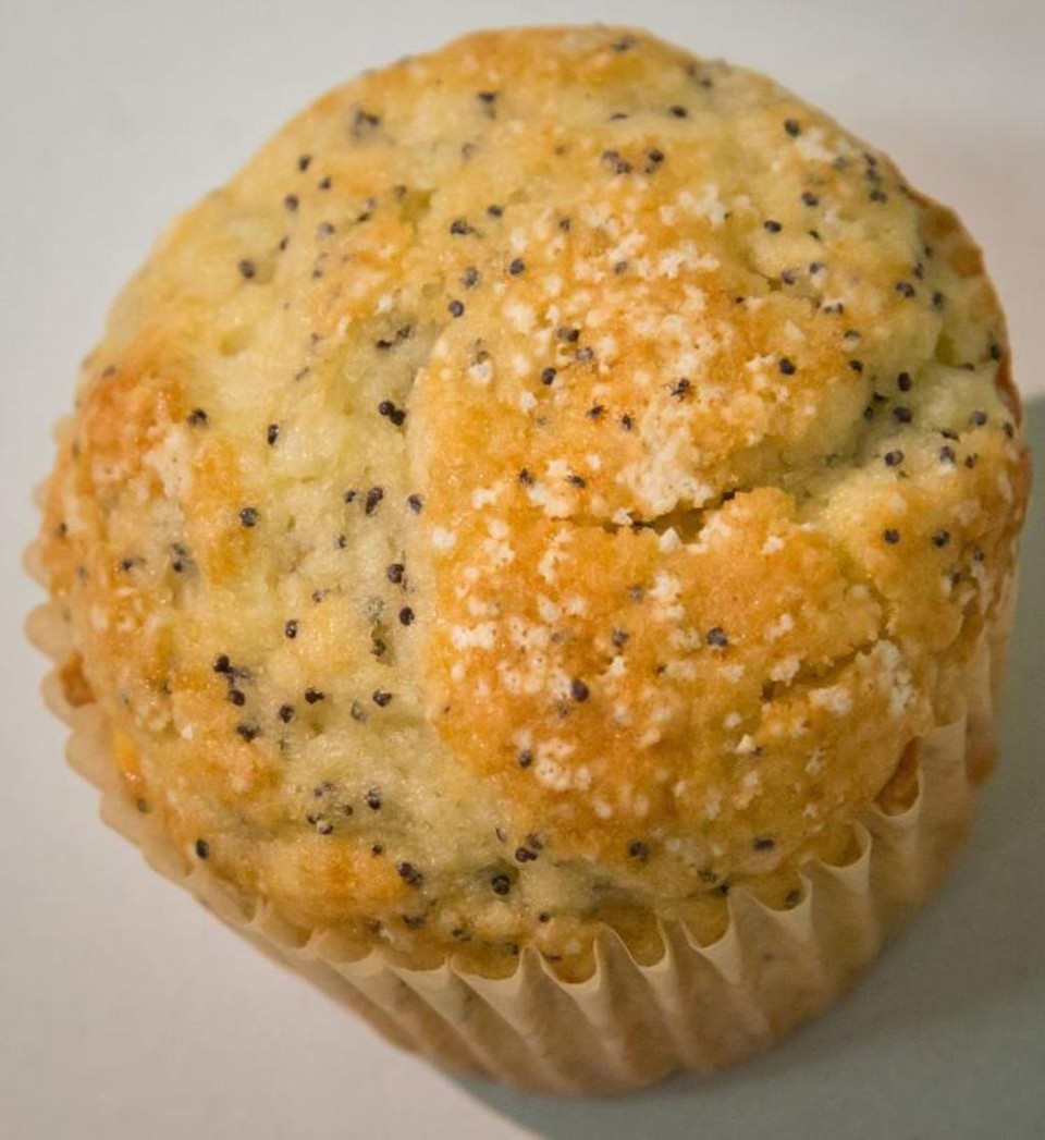 Onde estão os  cinco carrapatos no muffin?  Perguntou aos internautas o órgão de saúde americano | Reprodução/Twitter