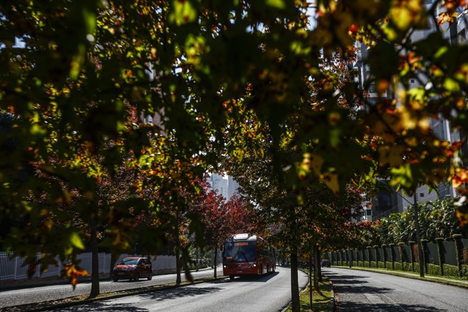  | Jonathan Campos/Gazeta do Povo