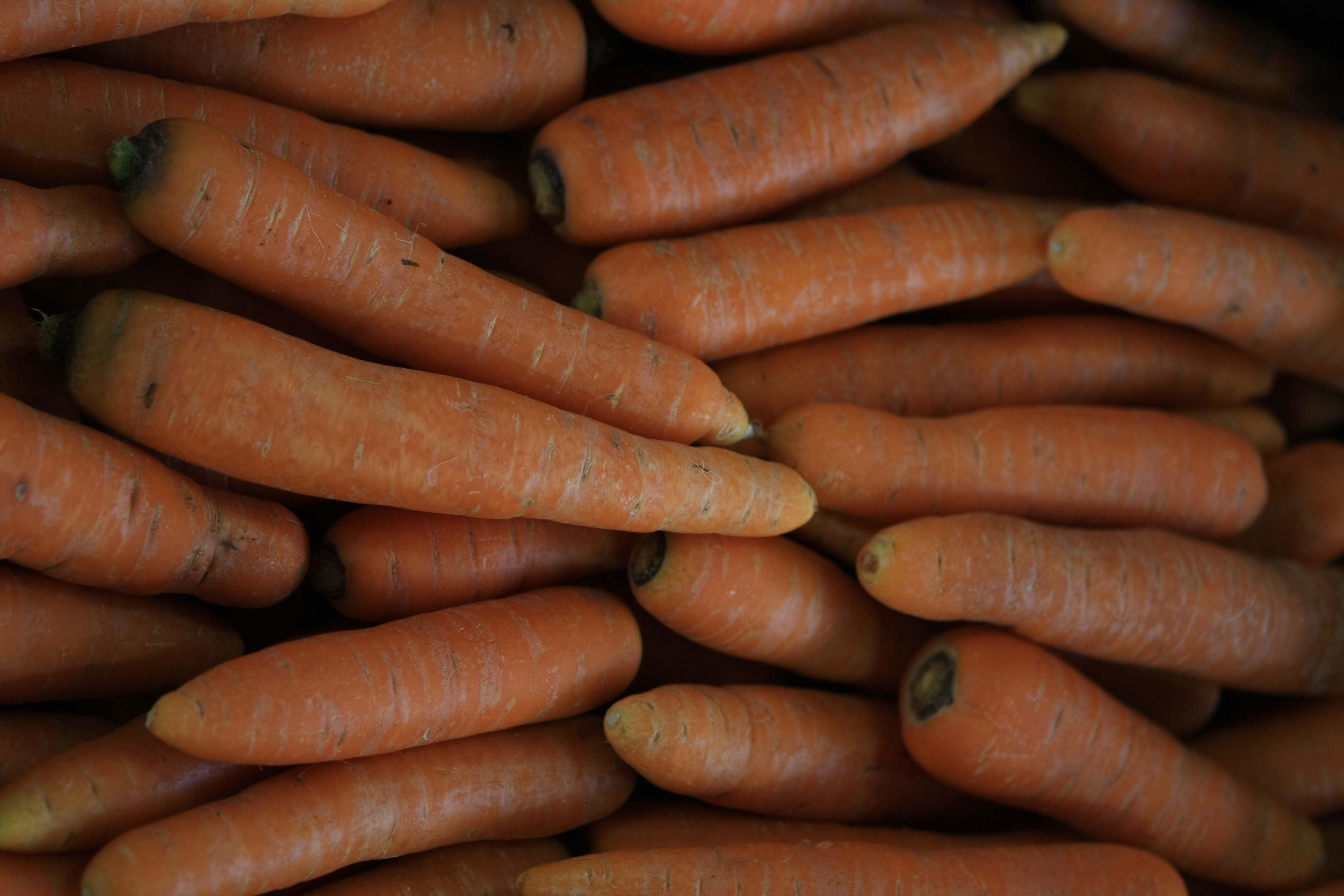 Cenoura é um dos produtos que já estão em falta nos supermercados de Curitiba. | Aniele Nascimento/Aniele Nascimento