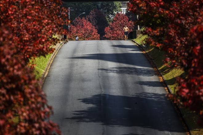  | Jonathan Campos/Gazeta do Povo