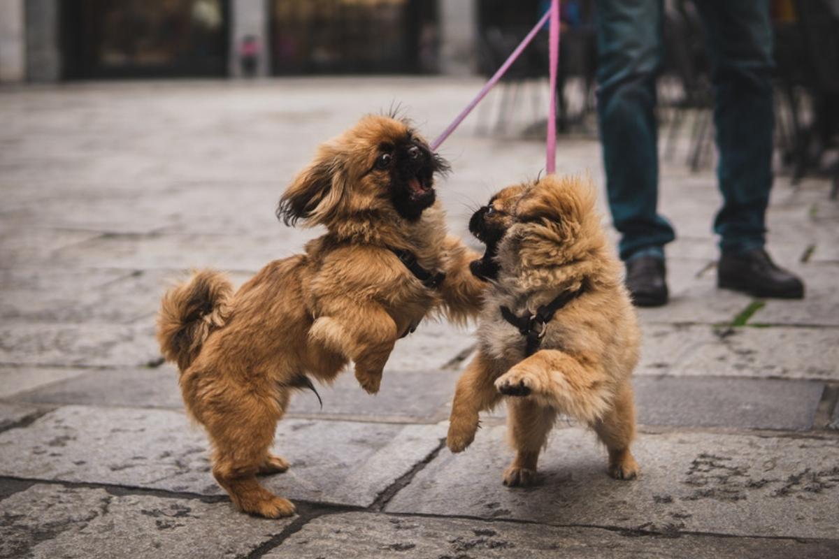 | Unsplash/
Reprodução
