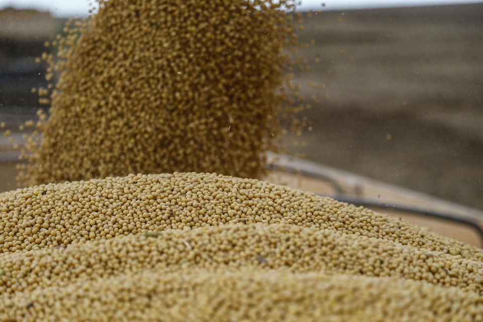 Os maiores volumes são da soja, responsável pelo bom desempenho produtivo e cujo avanço da colheita vem confirmando a boa produtividade. | Jonathan Campos/Gazeta do Povo