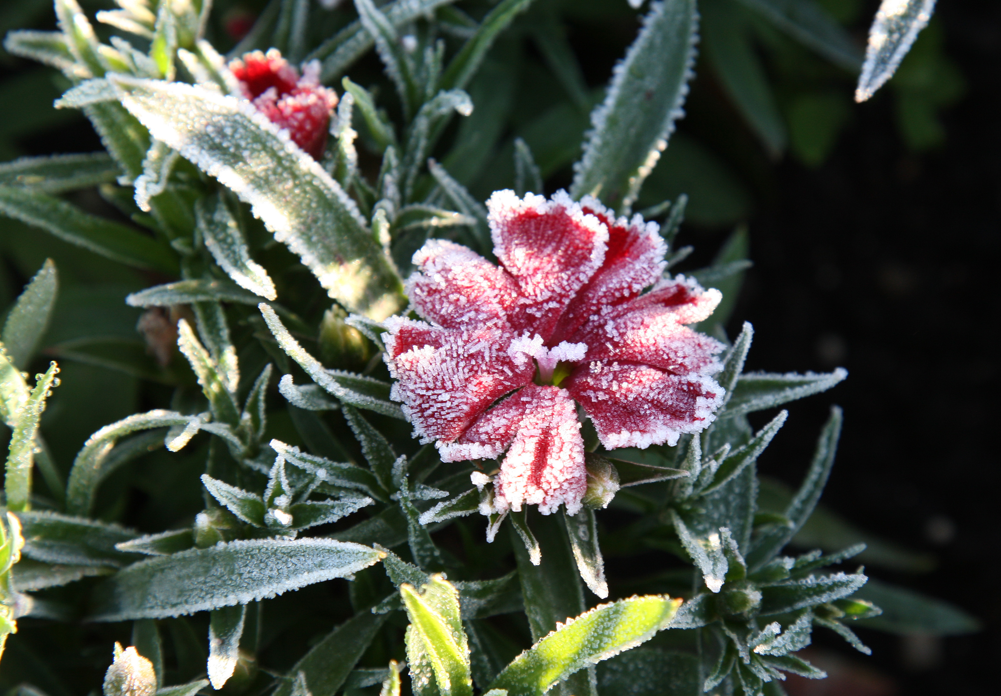 | Aniele Nascimento/Gazeta do Povo