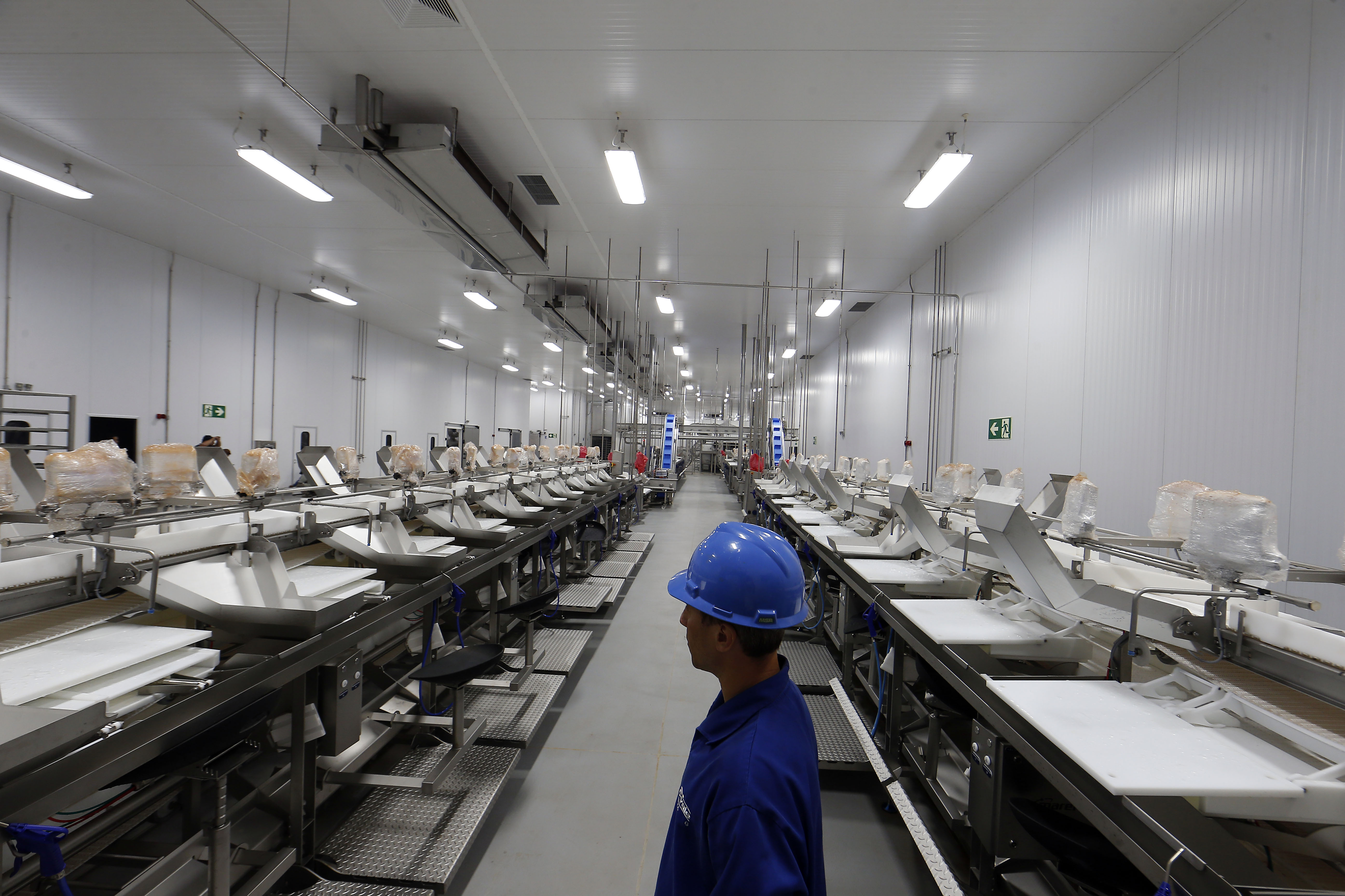 Abatedouro de peixes em Palotina é uma das plantas industriais das cooperativas paralisadas no Paraná | Albari Rosa/Gazeta do Povo