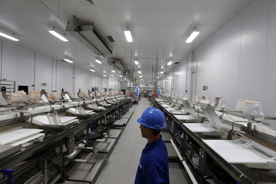 Abatedouro de peixes em Palotina é uma das plantas industriais das cooperativas paralisadas no Paraná | Albari Rosa/Gazeta do Povo