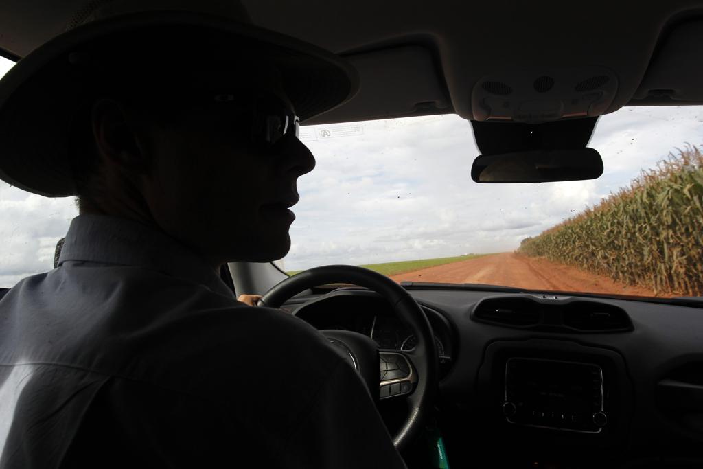 Seca  pegou em cheio milho safrinha no Paraná | Daniel Caron/Gazeta do Povo